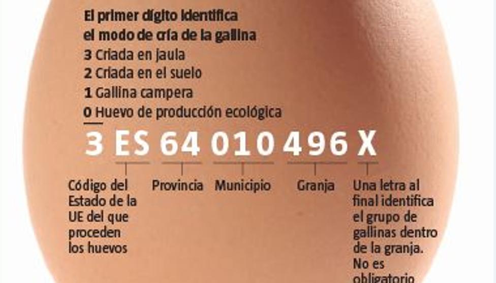 Clasificación de los huevos