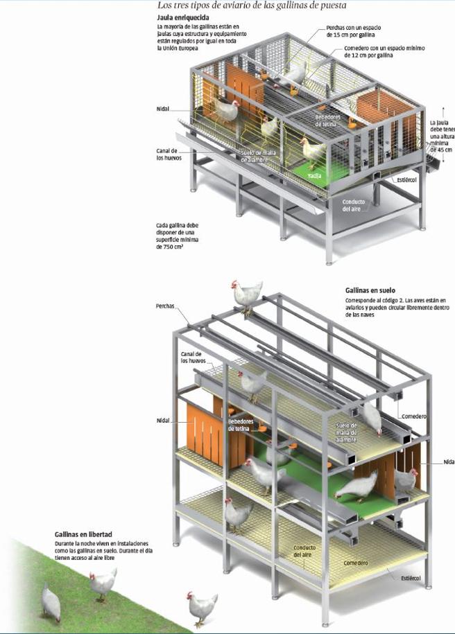 Tipos de Aviario